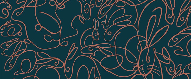 Detail from the slipcase design for The Velveteen Rabbit, The Folio Society