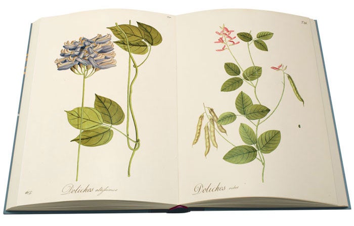 Open page spread from The Folio Society, limited edition of The Plants of the Americas